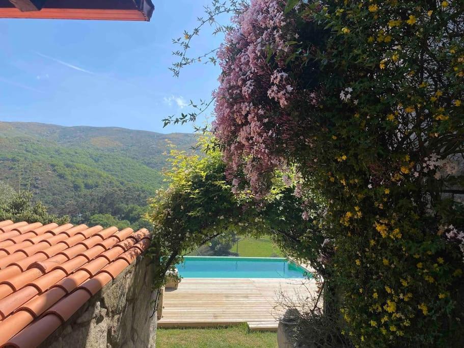 Villa La Loba - Un Pequeno Paraiso A Tu Alcance à Fornelos de Montes Extérieur photo